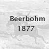 Beerbohm